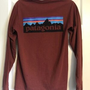 Patagonia Brown Long Sleeve Shirt